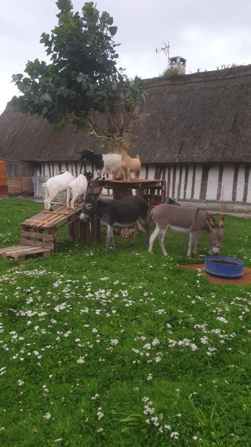 Chaumiere Du Chateau D'O Et Sa Mini Ferme ,Gite 21Couchages Goupil-Othon Bagian luar foto